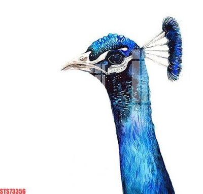 Ảnh gốc Tranh sơn dầu phương tây tổng hợp STS73356 (độ nét cao) in tráng gương