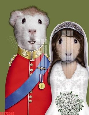 Download file gốc Tranh sơn dầu phương tây tổng hợp STS73594 (in mica) trong suốt