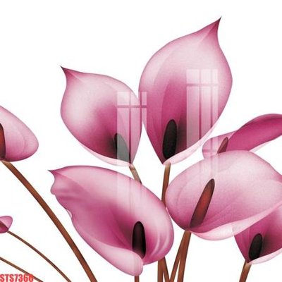 File gốc Tranh sơn dầu phương tây tổng hợp STS7366 (chuẩn màu) cho in offset