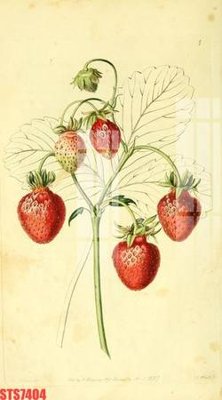 Tải file Tranh sơn dầu phương tây tổng hợp STS7404 (gốc) chủ đề tôn giáo