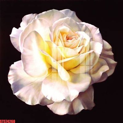 File in trần Tranh sơn dầu phương tây tổng hợp STS74268 (bản gốc) bầu trời