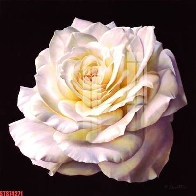 File tranh Tranh sơn dầu phương tây tổng hợp STS74271 (ảnh gốc) không bị mờ