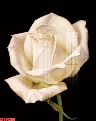 File tranh gốc Tranh sơn dầu phương tây tổng hợp STS74366 (bản quyền) độc đáo