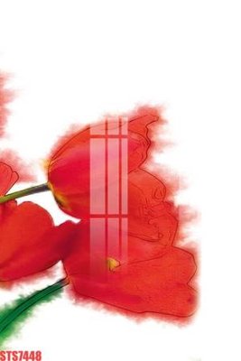 File gốc Tranh sơn dầu phương tây tổng hợp STS7448 (cho in 3D) độc đáo