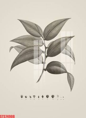 Tải file gốc Tranh sơn dầu phương tây tổng hợp STS74908 (bản PSD) gốc