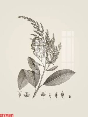 File PSD Tranh sơn dầu phương tây tổng hợp STS74911 (nguyên bản) cho thiết kế