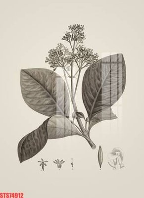 Ảnh gốc Tranh sơn dầu phương tây tổng hợp STS74912 (độ nét cao) in mica