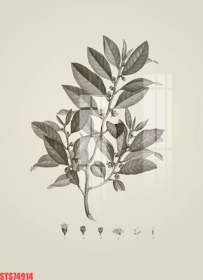 File tranh trang trí Tranh sơn dầu phương tây tổng hợp STS74914 (tải file gốc)