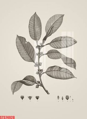 Tải file tranh Tranh sơn dầu phương tây tổng hợp STS74928 (ảnh gốc) ngay