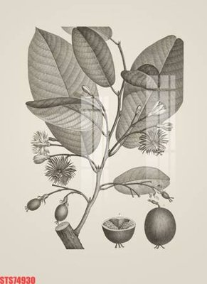 File in trần Tranh sơn dầu phương tây tổng hợp STS74930 (bản gốc) bầu trời