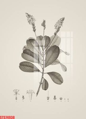 Tải file Tranh sơn dầu phương tây tổng hợp STS74938 (ảnh gốc) độ phân giải 300dpi