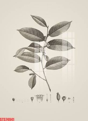 Tải file gốc Tranh sơn dầu phương tây tổng hợp STS74941 (in tráng gương) 3DFile gốc Tranh sơn dầu phương tây tổng hợp STS74941 (sẵn sàng in) chất lượng cao