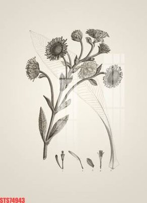 Tải file gốc Tranh sơn dầu phương tây tổng hợp STS74943 (bản PSD) còn layer