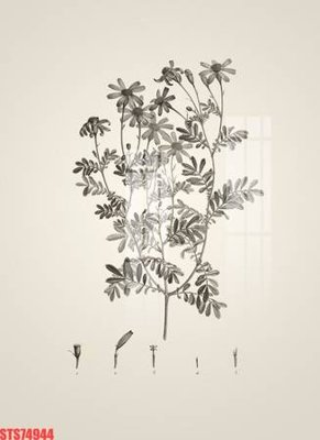 File tranh Tranh sơn dầu phương tây tổng hợp STS74944 (ảnh gốc) độc quyền