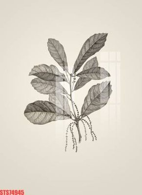 File gốc Tranh sơn dầu phương tây tổng hợp STS74945 (in lụa) tranh mã đáo