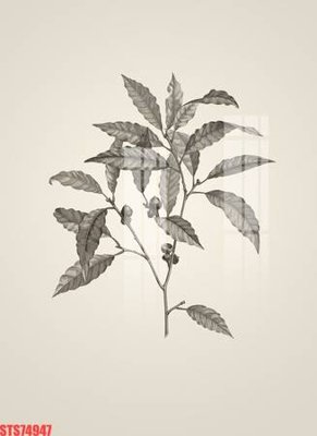 File in trần Tranh sơn dầu phương tây tổng hợp STS74947 (file gốc) phong thủy