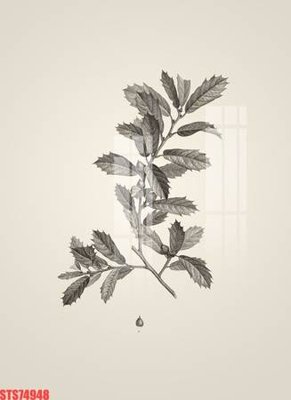 File in ấn chuyên nghiệp Tranh sơn dầu phương tây tổng hợp STS74948 (file gốc)