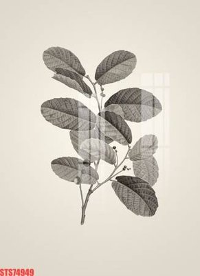 Tệp tin gốc Tranh sơn dầu phương tây tổng hợp STS74949 (chất lượng) Tranh sơn dầu phương tây tổng hợp STS74949