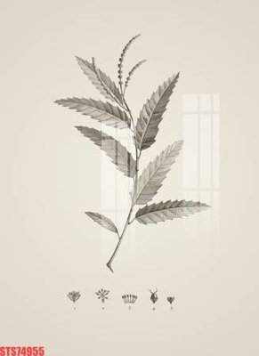 Hình ảnh file gốc Tranh sơn dầu phương tây tổng hợp STS74955 cho in UV