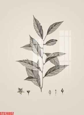 File gốc Tranh sơn dầu phương tây tổng hợp STS74957 (in lụa) trang trí tường