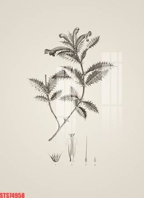 File PSD Tranh sơn dầu phương tây tổng hợp STS74958 (nguyên gốc) chất lượng cao