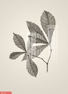 File ảnh Tranh sơn dầu phương tây tổng hợp STS74960 (gốc) cho trang trí nội thất