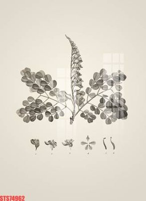 Tải file Tranh sơn dầu phương tây tổng hợp STS74962 (gốc) làm tranh treo tường