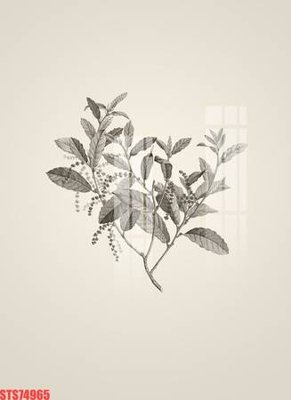 File tranh Tranh sơn dầu phương tây tổng hợp STS74965 (bản gốc) in lụa dán tường