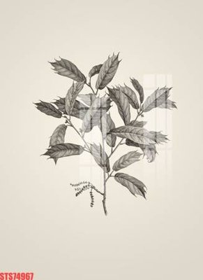 File gốc Tranh sơn dầu phương tây tổng hợp STS74967 (in lụa) tranh mã đáo