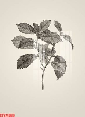 Ảnh gốc file in lụa Tranh sơn dầu phương tây tổng hợp STS74969 chi tiết