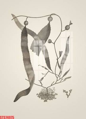 File gốc Tranh sơn dầu phương tây tổng hợp STS74975 (PNG) không nền chất lượng