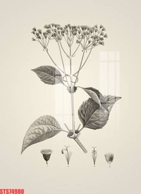 File tranh gốc Tranh sơn dầu phương tây tổng hợp STS74980 chủ đề hiện đại