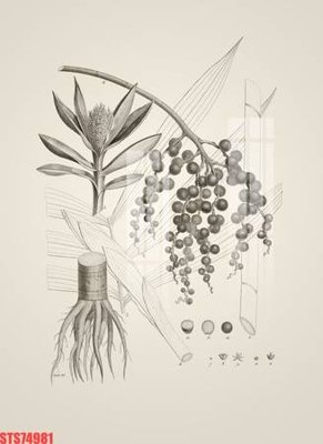 File tranh gốc Tranh sơn dầu phương tây tổng hợp STS74981 (bản đẹp) độc quyền