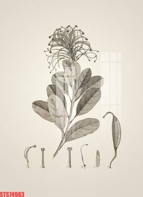 Tải file tranh Tranh sơn dầu phương tây tổng hợp STS74983 (gốc) tại Filetranh.com