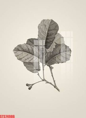 File in lụa Tranh sơn dầu phương tây tổng hợp STS74986 (hoa văn) Tranh sơn dầu phương tây tổng hợp STS74986