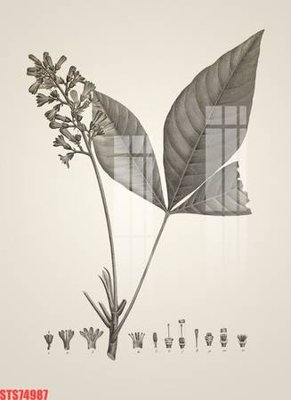 File ảnh gốc Tranh sơn dầu phương tây tổng hợp STS74987 (chuyên in mica)