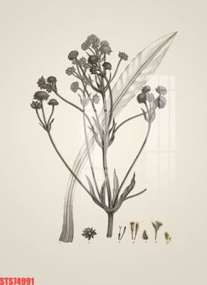 File in trần Tranh sơn dầu phương tây tổng hợp STS74991 (bản gốc) hoa văn