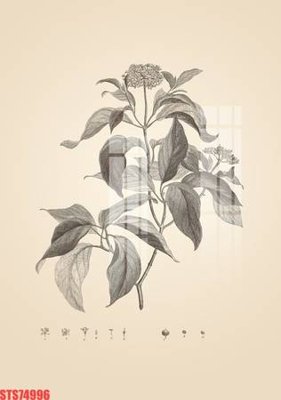 File tranh ảnh gốc Tranh sơn dầu phương tây tổng hợp STS74996 dùng cho in khổ lớn