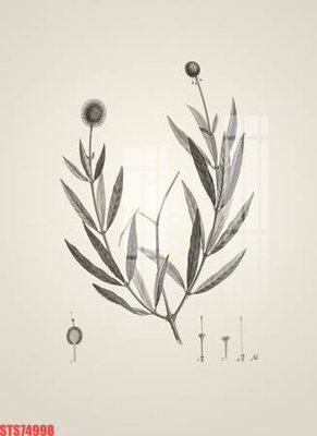 Tệp tin gốc Tranh sơn dầu phương tây tổng hợp STS74998 (chất lượng cao) Tranh sơn dầu phương tây tổng hợp STS74998