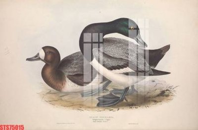 Chi tiết file tranh tráng gương Tranh sơn dầu phương tây tổng hợp STS75015 (ảnh gốc)