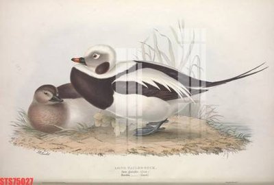 Tải file gốc Tranh sơn dầu phương tây tổng hợp STS75027 (in tráng gương) 3DFile gốc Tranh sơn dầu phương tây tổng hợp STS75027 (sẵn sàng in) chất lượng cao