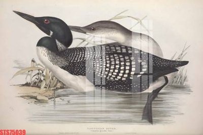 File in lụa Tranh sơn dầu phương tây tổng hợp STS75039 (tân cổ điển) Tranh sơn dầu phương tây tổng hợp STS75039