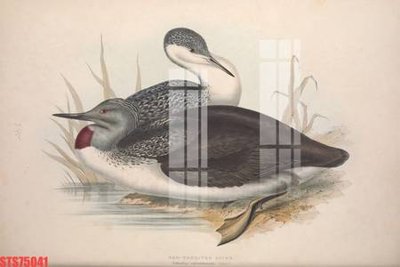 Tải file gốc Tranh sơn dầu phương tây tổng hợp STS75041 (in tráng gương) siêu đẹpFile tranh gốc Tranh sơn dầu phương tây tổng hợp STS75041 chất lượng cao