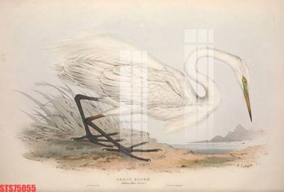 Tải file gốc Tranh sơn dầu phương tây tổng hợp STS75055 (in bạt) quảng cáo