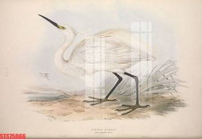 File gốc Tranh sơn dầu phương tây tổng hợp STS75066 (in mica) làm bảng hiệu