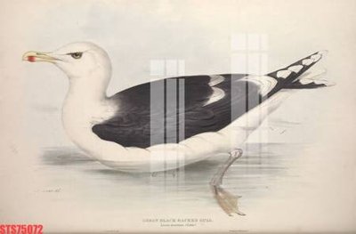 File in ấn chuyên nghiệp Tranh sơn dầu phương tây tổng hợp STS75072 (file gốc)