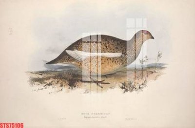 File gốc Tranh sơn dầu phương tây tổng hợp STS75106 (phong cách) tối giản