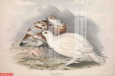 Tải file gốc Tranh sơn dầu phương tây tổng hợp STS75107 (in tráng gương) 3DFile gốc Tranh sơn dầu phương tây tổng hợp STS75107 (sẵn sàng in) chất lượng cao