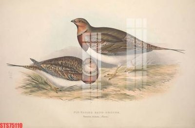 Download file gốc Tranh sơn dầu phương tây tổng hợp STS75110 (in lụa) tranh 3D