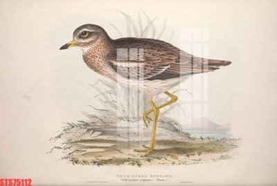 File in trần Tranh sơn dầu phương tây tổng hợp STS75112 (file gốc) hoa văn 3D